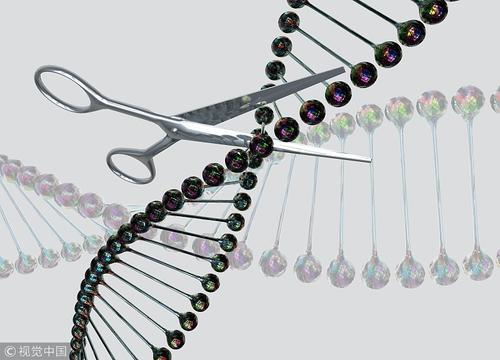 中国开发出新型“基因剪刀”载体